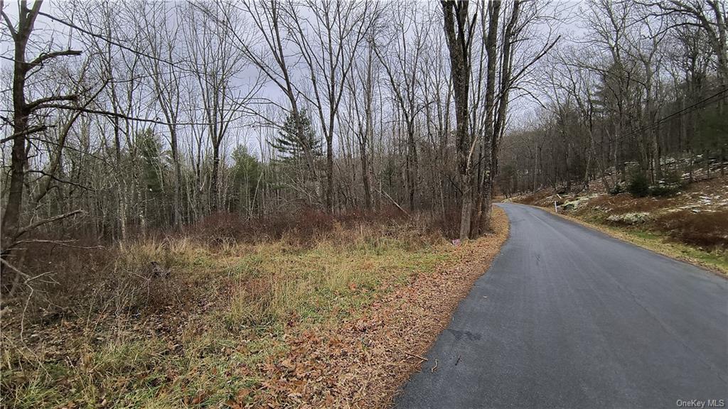 Land New Turnpike A  Sullivan, NY 12726, MLS-H6281364-20