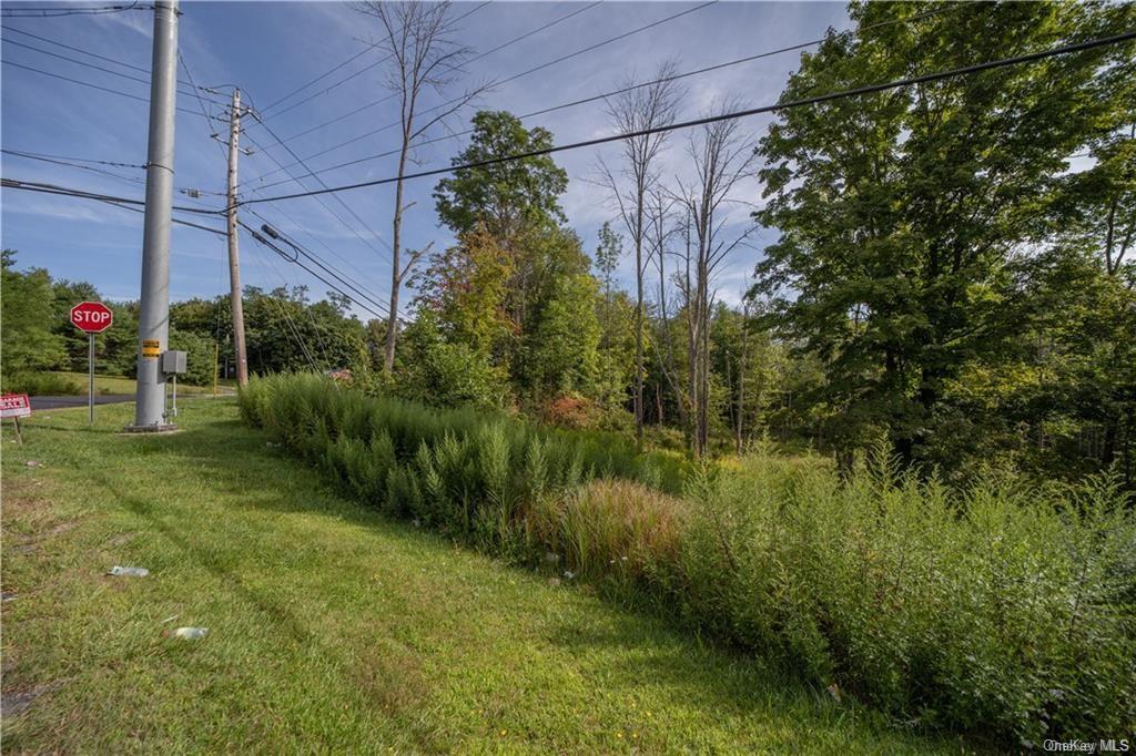 Land Heiden  Sullivan, NY 12733, MLS-H6212378-20