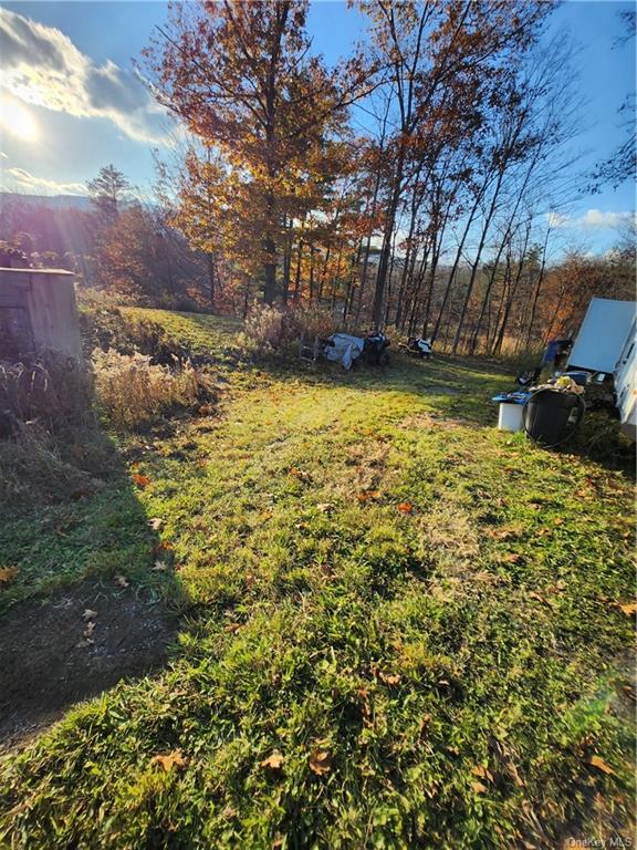 Land Smith  Out Of Area, NY 12469, MLS-H6278519-20