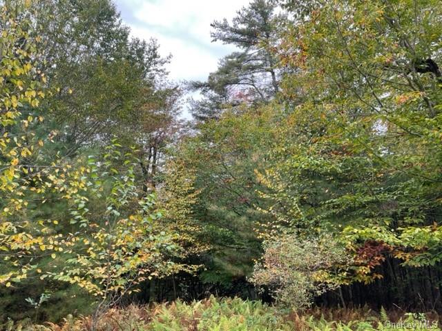 Land Chapin  Sullivan, NY 12720, MLS-H6273528-20