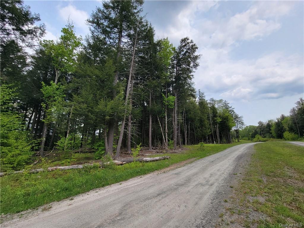 Land Eagles Ridge  Sullivan, NY 12768, MLS-H6232574-20