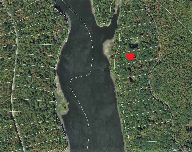 Land Plank  Sullivan, NY 12777, MLS-H6266634-20