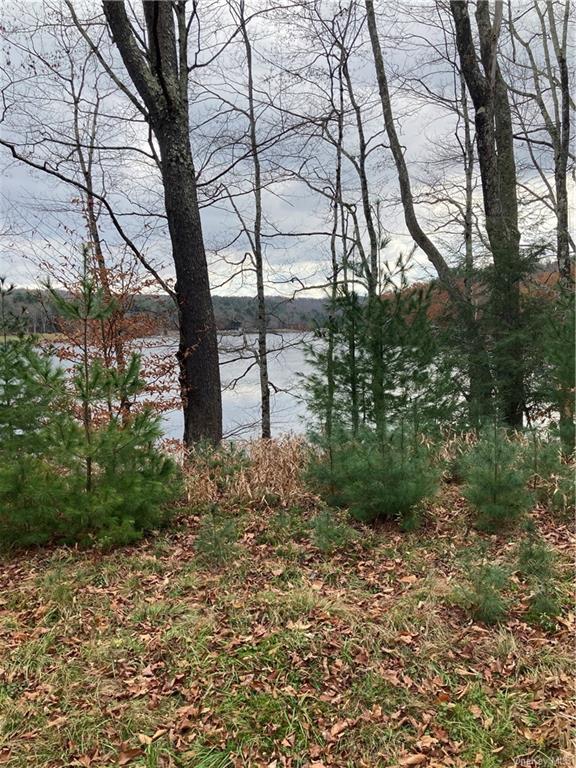 Land Plank  Sullivan, NY 12762, MLS-H6274706-20