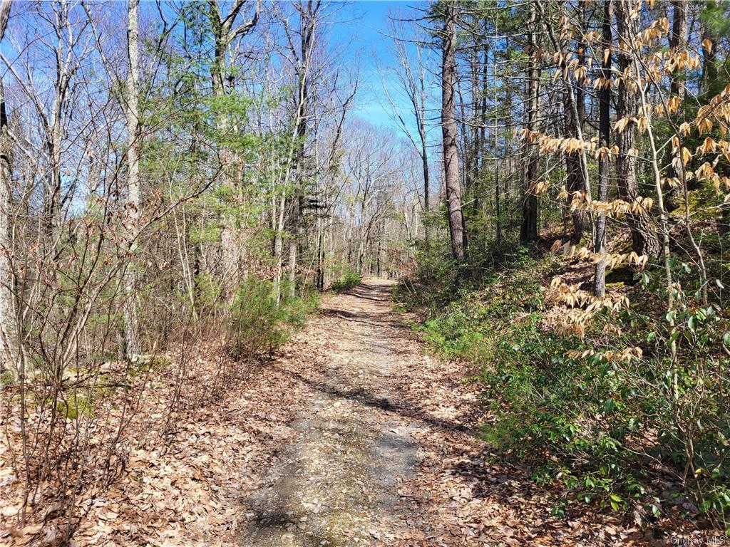 Land Old Plank  Ulster, NY 12420, MLS-H6180707-20
