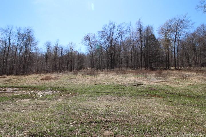 Land Cattail  Sullivan, NY 12758, MLS-H6244708-20