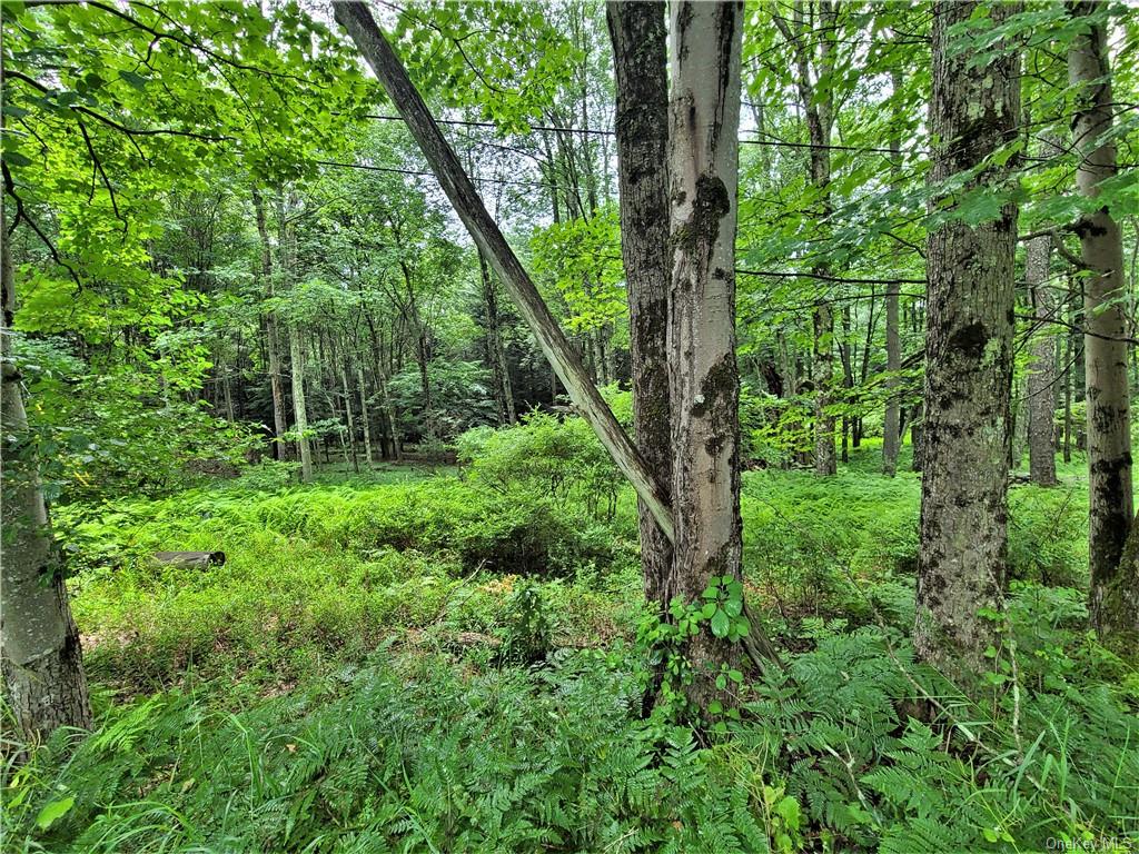 Land Goldsmith  Sullivan, NY 12783, MLS-H6258729-20