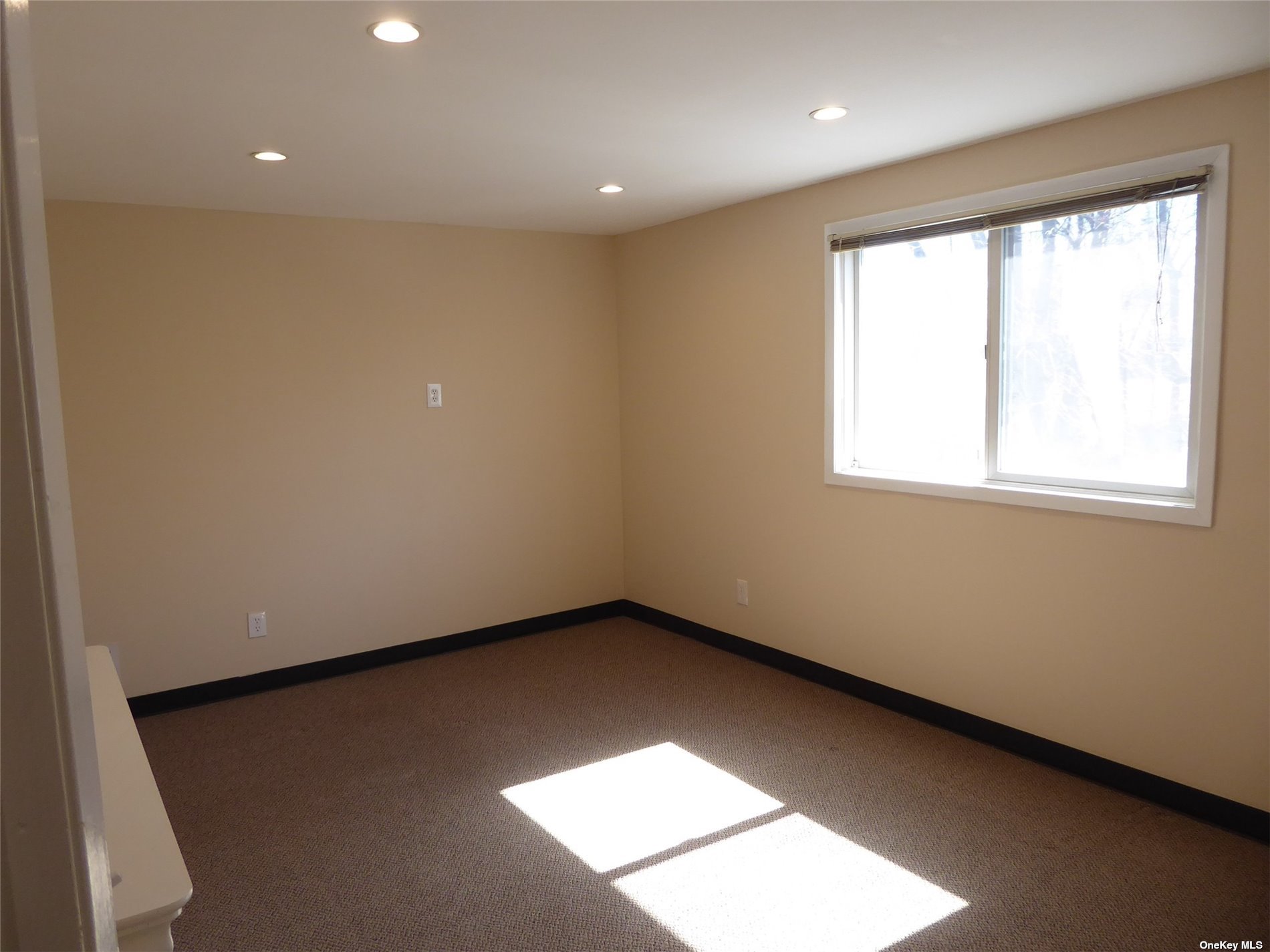 Apartment Forest  Nassau, NY 11542, MLS-3510795-20