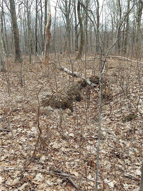 Land Grape Hollow  Dutchess, NY 12531, MLS-H6241803-20