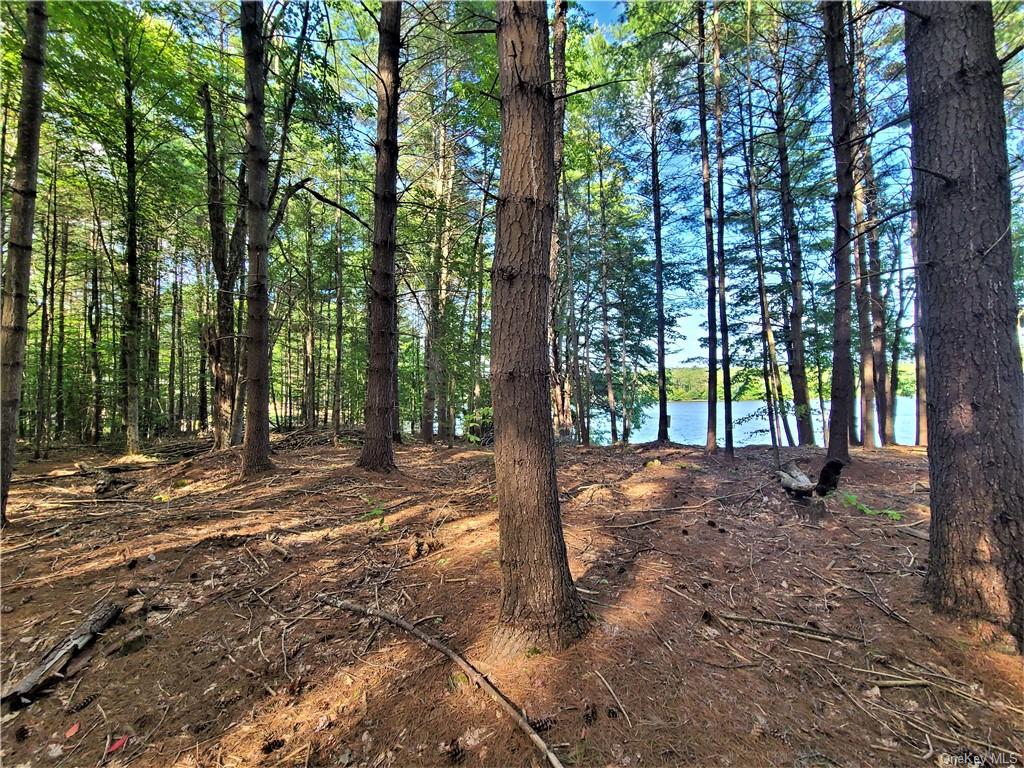 Land Woodstone  Sullivan, NY 12786, MLS-H6267818-20