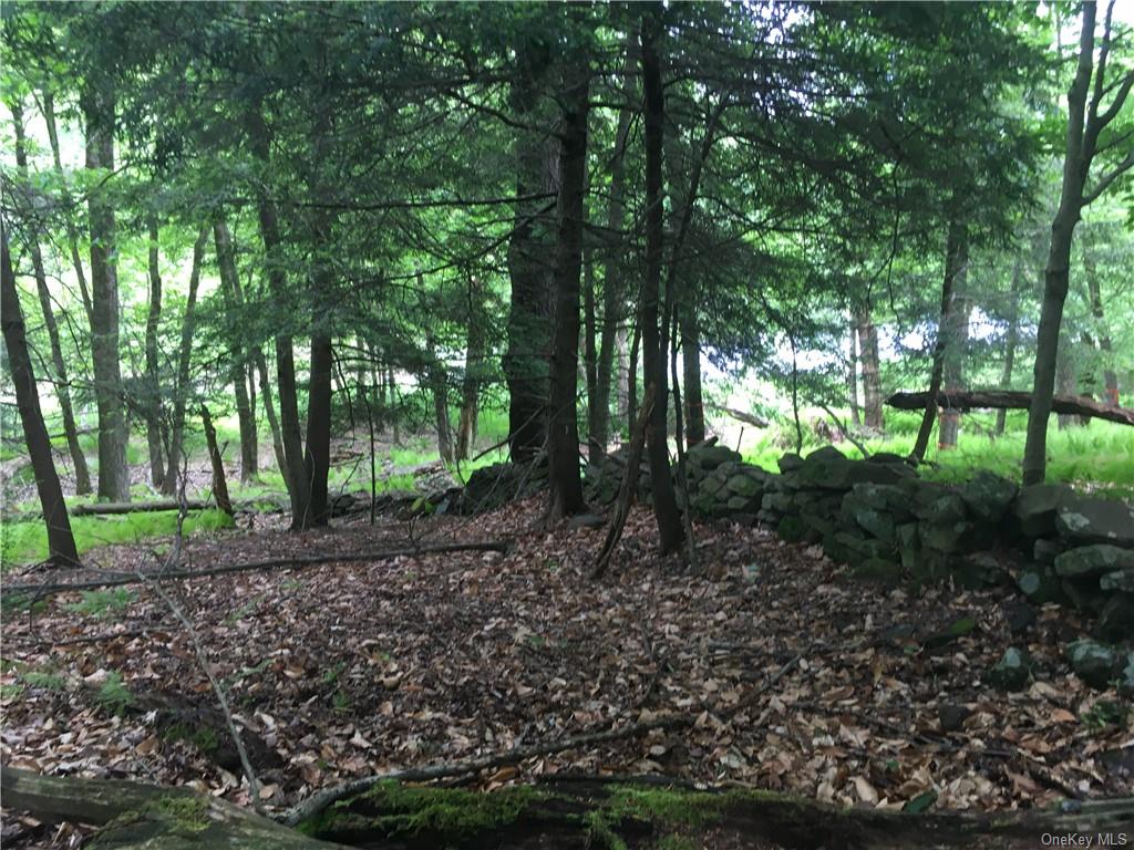 Land Cty Hwy 141 - Horseshoe Lake Rd Lots 10.7 & 10.9  Sullivan, NY 12720, MLS-H6240873-20