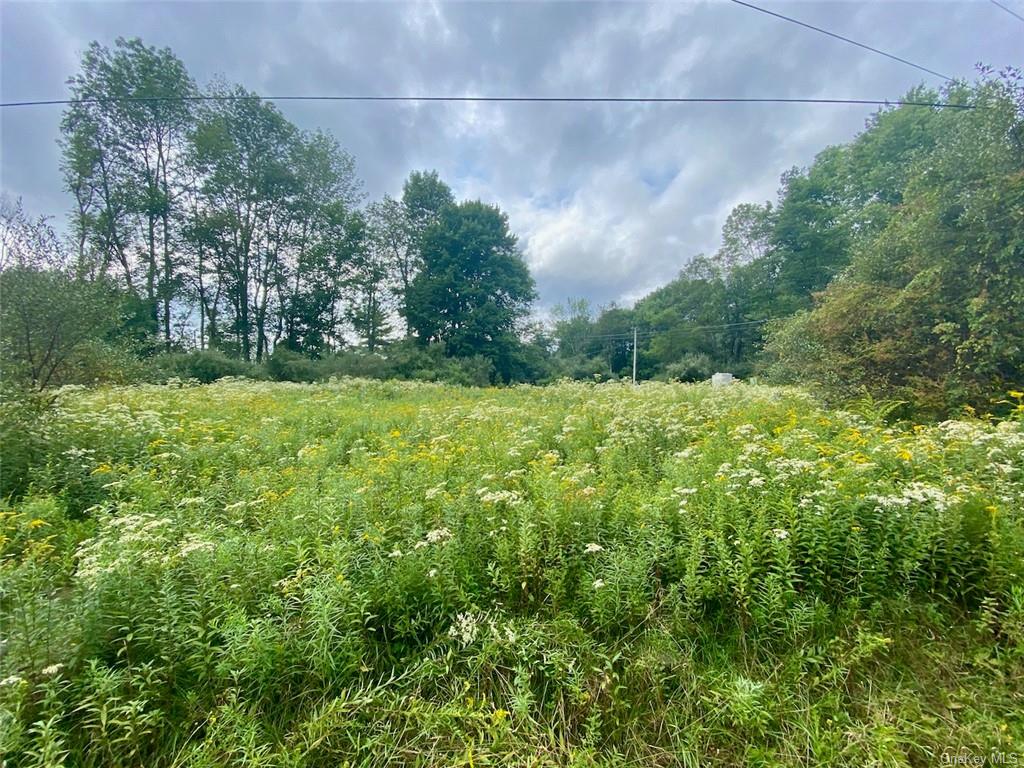 Land Moscoe  Sullivan, NY 12720, MLS-H6241893-20