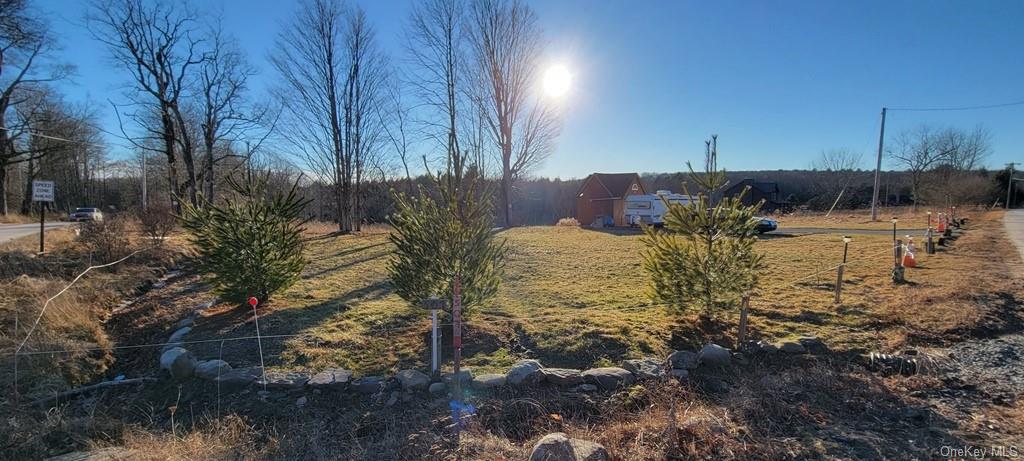 Land Mt Hope  Sullivan, NY 12720, MLS-H6232926-20