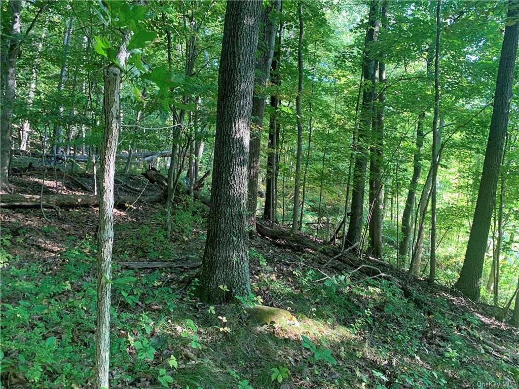 Land Old Route 22  Dutchess, NY 12564, MLS-H6270937-20