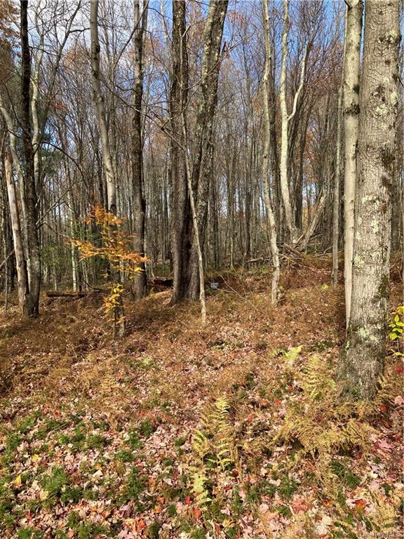 Land Big Woods  Sullivan, NY 12472, MLS-H6274967-20