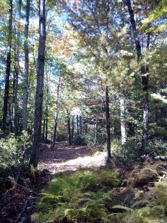 Land Mount Vernon  Sullivan, NY 12790, MLS-H6215980-20