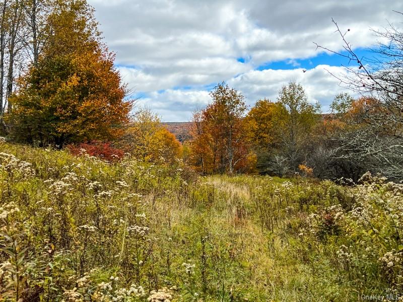 Land Debruce  Sullivan, NY 12758, MLS-H6214984-20