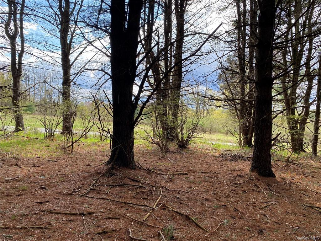 Land Royce  Sullivan, NY 12720, MLS-H6245995-20