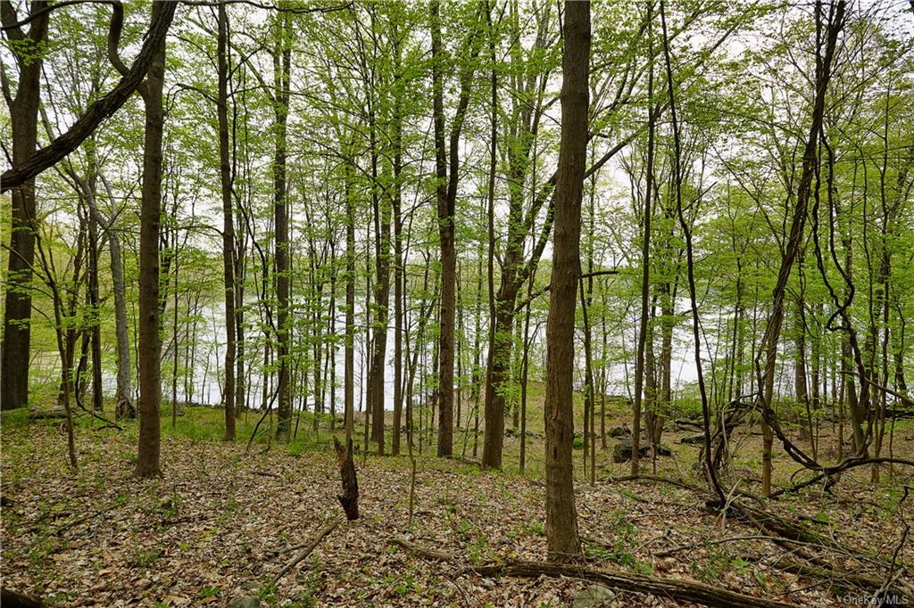 Land Pierson Lakes  Rockland, NY 10974, MLS-H6246069-21