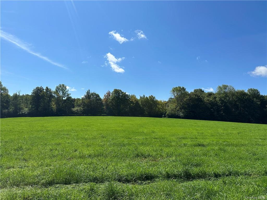 Land Menges  Sullivan, NY 12791, MLS-H6268308-21