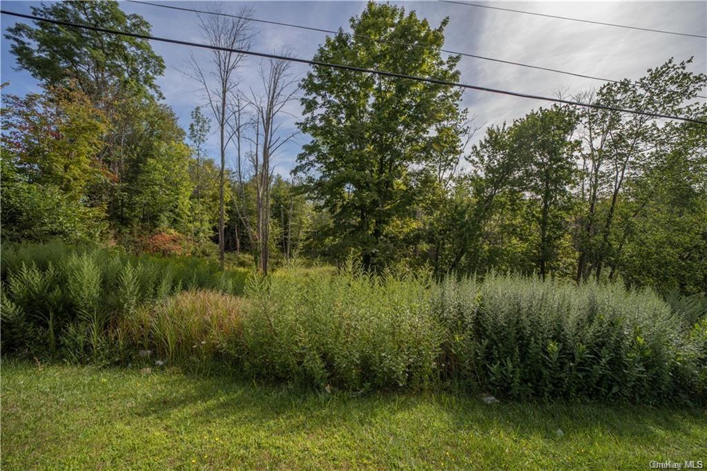 Land Heiden  Sullivan, NY 12733, MLS-H6212378-21