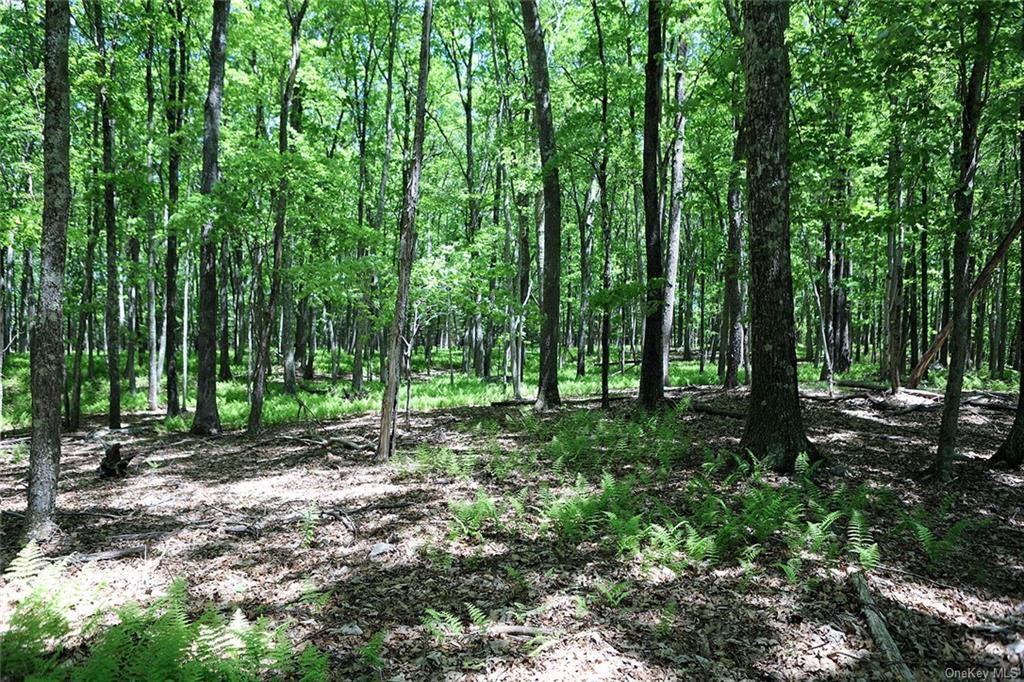 Land Barbara  Sullivan, NY 12723, MLS-H6280499-21