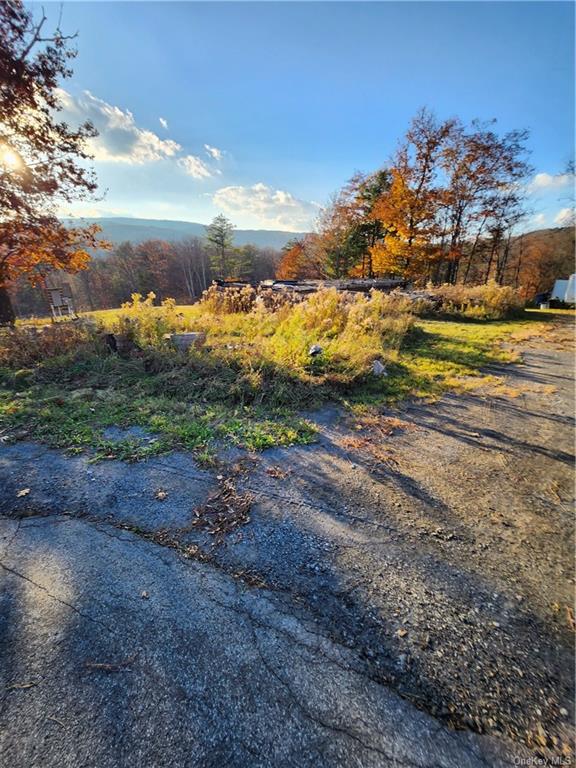 Land Smith  Out Of Area, NY 12469, MLS-H6278519-21