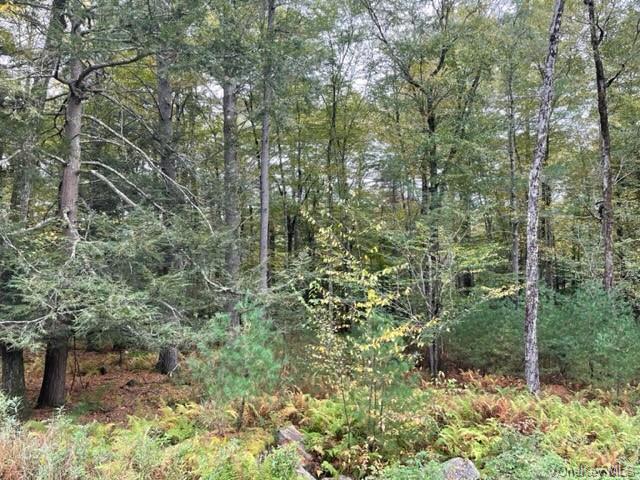 Land Chapin  Sullivan, NY 12720, MLS-H6273528-21