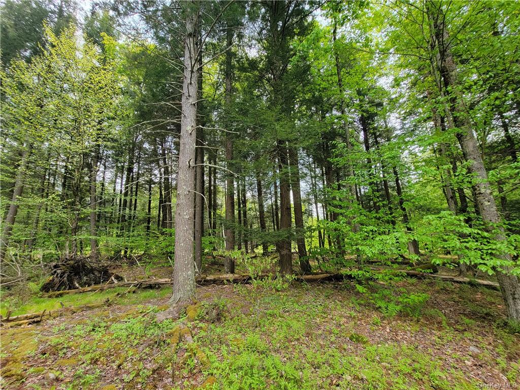 Land Eagles Ridge  Sullivan, NY 12768, MLS-H6232574-21