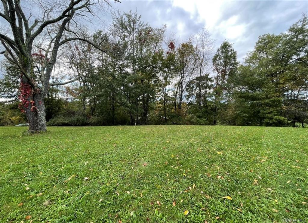 Land Birch  Ulster, NY 12589, MLS-H6271581-21