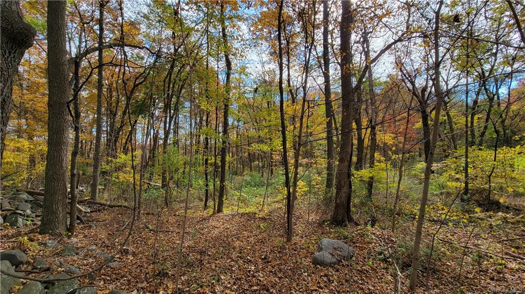 Land Western  Orange, NY 12586, MLS-H6275607-21