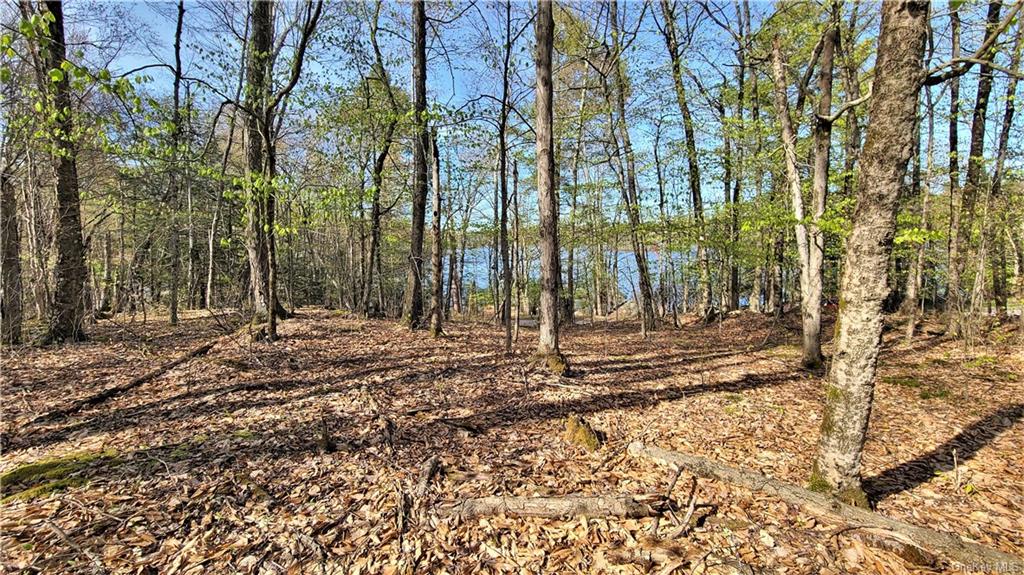 Land Lakeshore  Sullivan, NY 12778, MLS-H6143640-21