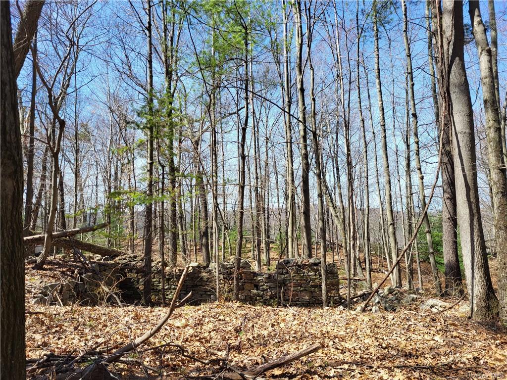 Land Old Plank  Ulster, NY 12420, MLS-H6180707-21