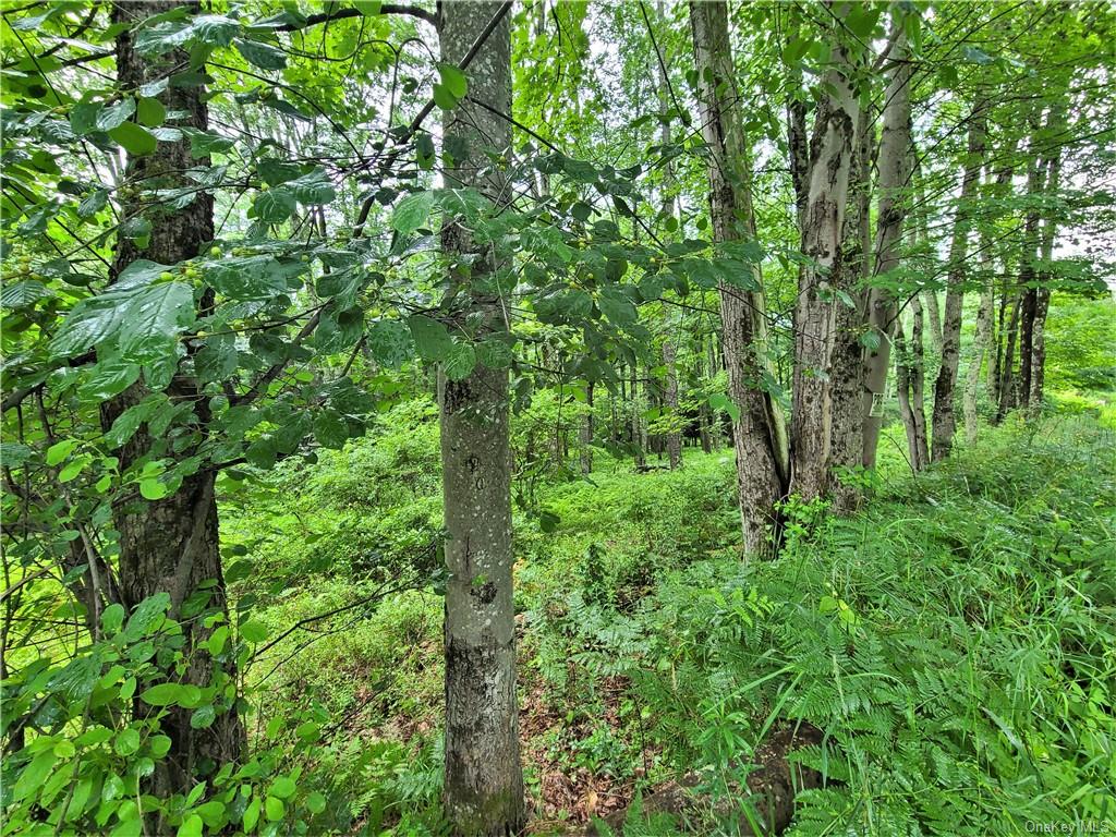 Land Goldsmith  Sullivan, NY 12783, MLS-H6258729-21