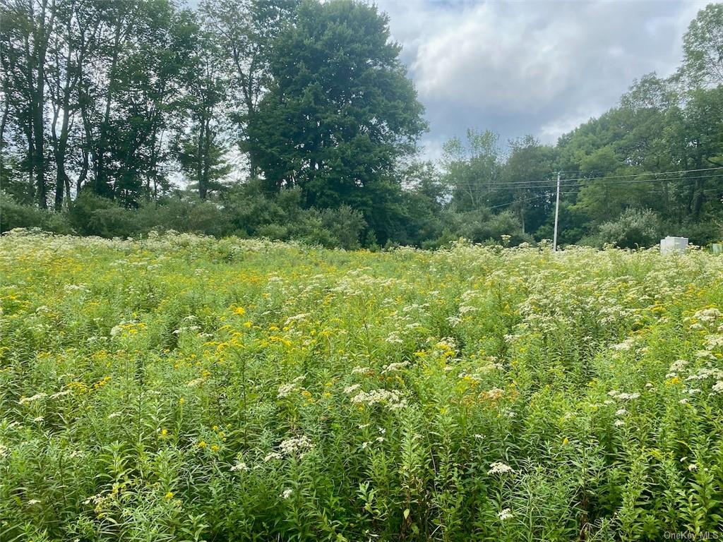 Land Moscoe  Sullivan, NY 12720, MLS-H6241893-21