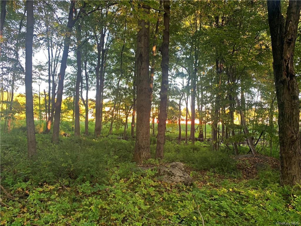 Land Old Route 22  Dutchess, NY 12564, MLS-H6270937-21