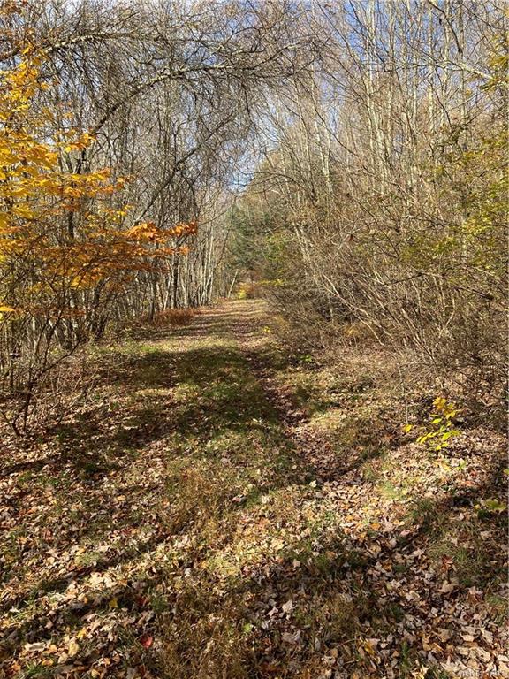 Land Big Woods  Sullivan, NY 12472, MLS-H6274967-21