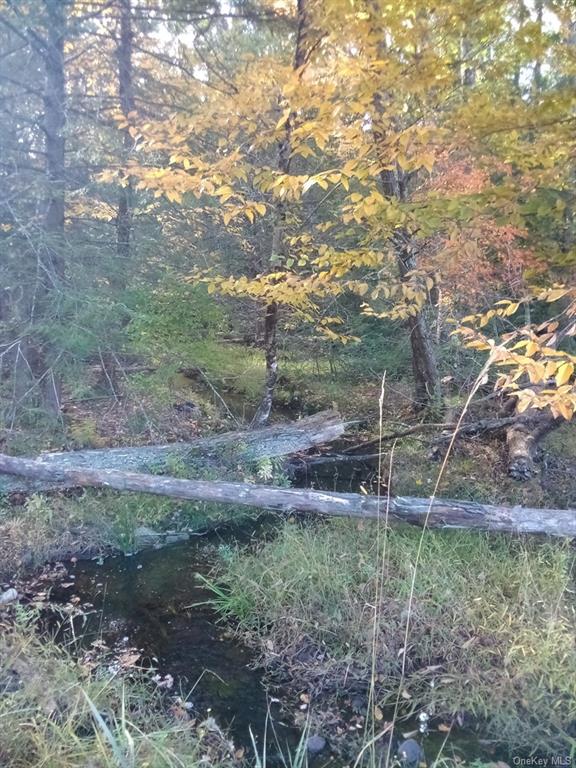 Land Mount Vernon  Sullivan, NY 12790, MLS-H6215980-21