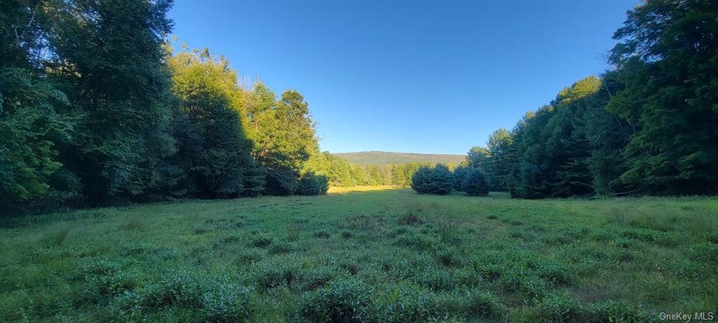 Land Meyerson  Sullivan, NY 12790, MLS-H6207993-21