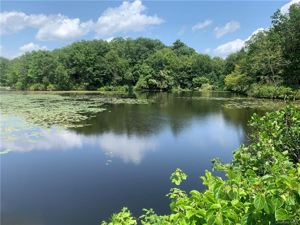 Land Pierson Lakes  Rockland, NY 10974, MLS-H6255156-22