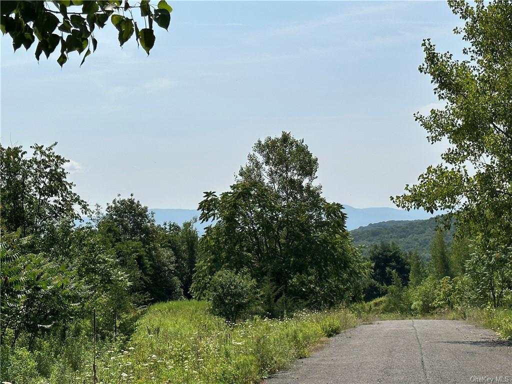 Land Truncali  Ulster, NY 12542, MLS-H6263292-22