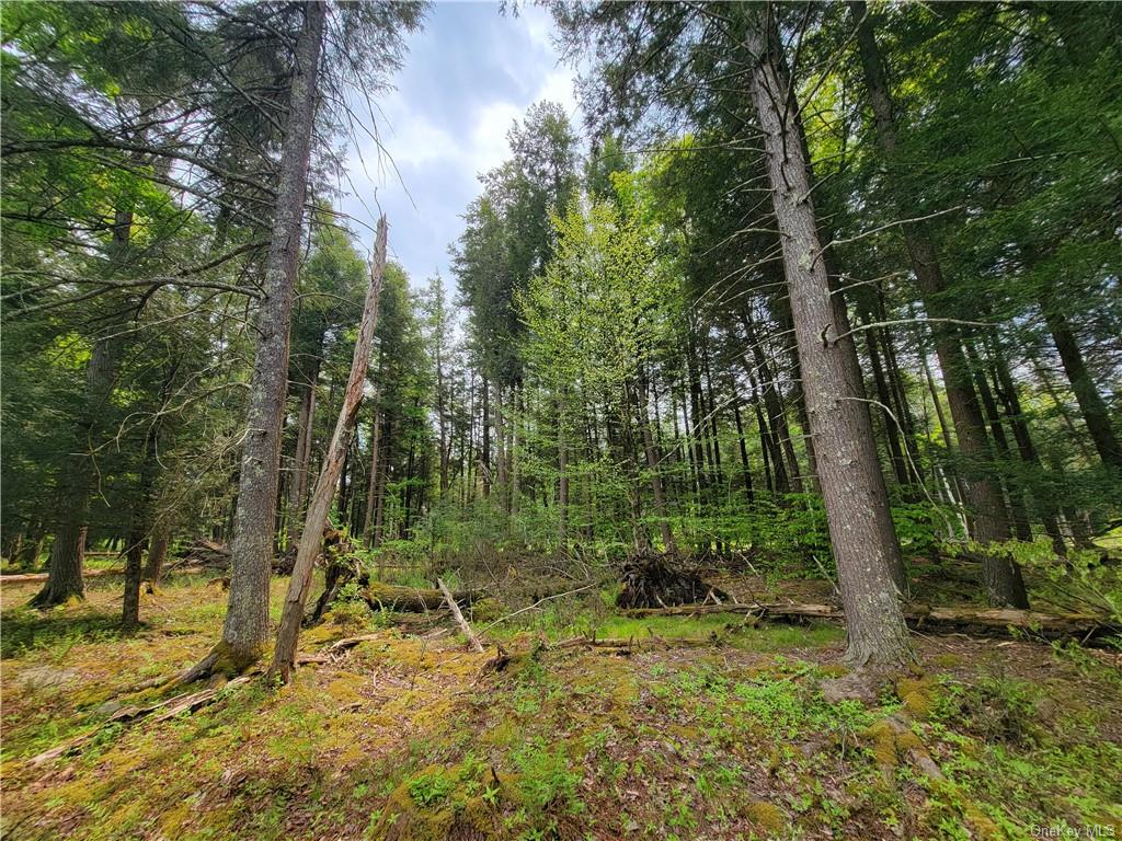 Land Eagles Ridge  Sullivan, NY 12768, MLS-H6232574-22