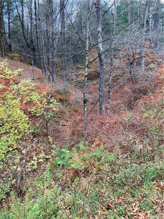 Land Plank  Sullivan, NY 12762, MLS-H6274706-22