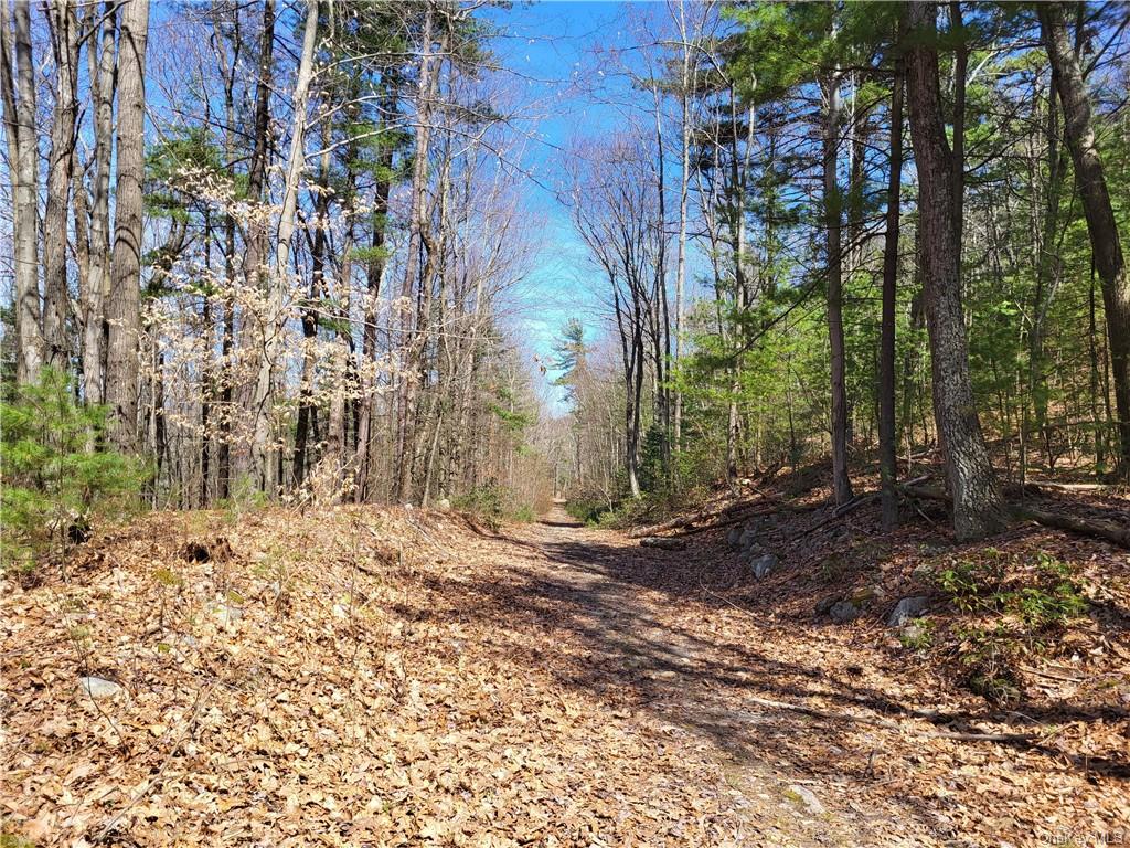 Land Old Plank  Ulster, NY 12420, MLS-H6180707-22