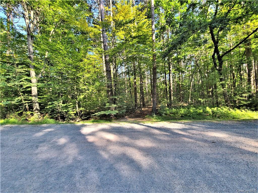 Land Woodstone  Sullivan, NY 12786, MLS-H6267818-22