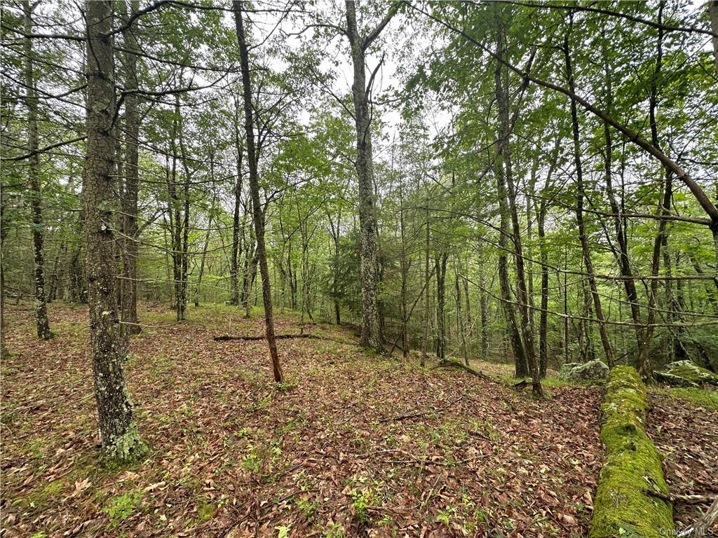 Land State Route 55  Sullivan, NY 12719, MLS-H6256862-22