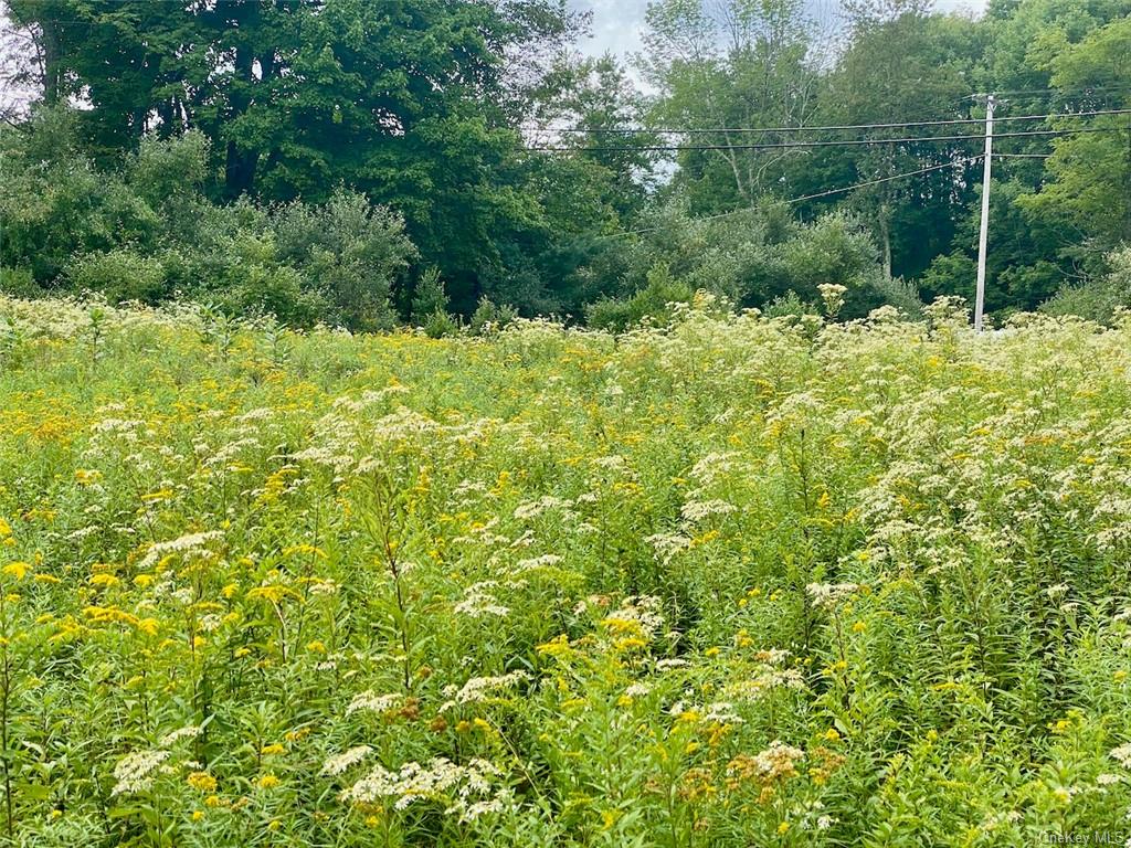 Land Moscoe  Sullivan, NY 12720, MLS-H6241893-22