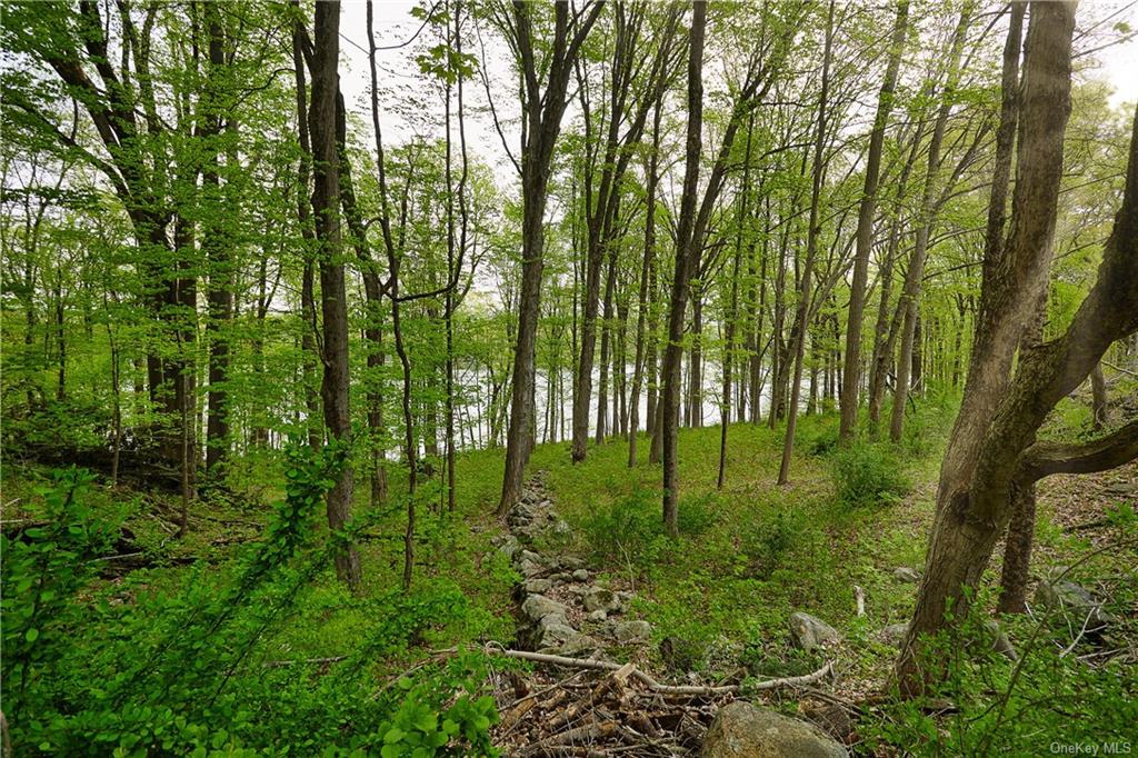 Land Pierson Lakes  Rockland, NY 10974, MLS-H6246067-23