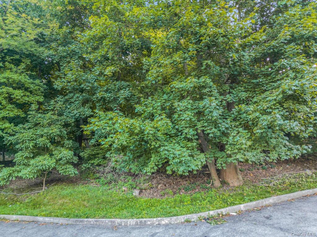 Land Dickinson  Westchester, NY 10703, MLS-H6264120-23