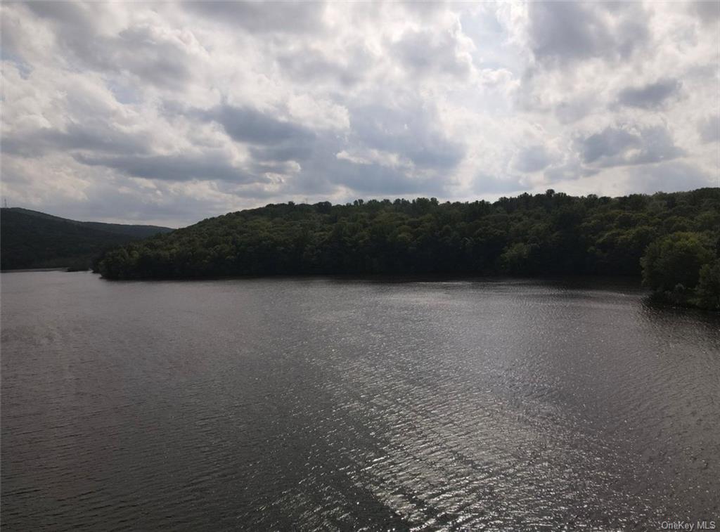 Land Pierson Lakes  Rockland, NY 10974, MLS-H6255156-23