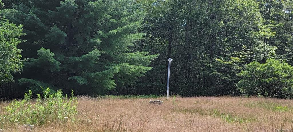 Land Westervelt  Sullivan, NY 12726, MLS-H6264186-23